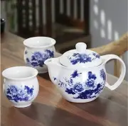 Brand new porcelain Chines/Japanese/Asian teapot&cup/Tea set/teaWare/kungfu tea