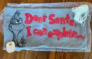 Grinch pottery barn holiday Christmas Dr Seuss pillow cover sham party Disney