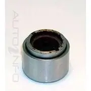 Protex Caliper Piston - 090P0085