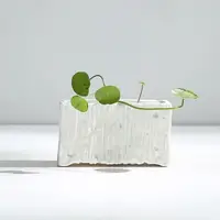 在飛比找momo購物網優惠-【JEN】創意簡約素燒陶瓷多肉植物花盆花瓶花器居家裝飾桌面擺