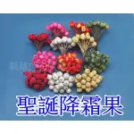 花藝素材65-1 聖誕果/降霜果/1束 3200,3201,3202,3203,3204,3205,3209