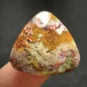 Unique Moss Agate Cabochon 23x21x6mm High Quality 18.5 ct