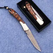 Folding Gentlemans Sharp Blade Pocket Survival Knife Camping Damascus Steel Bush