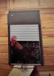 Automatic Chicken Coop Door, Solar Powered Chicken Roll Shutter Timer & light