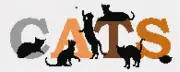 Cats Galore Needlepoint Kit or Canvas (Animal)