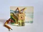 Bel Scents Co. Car Diffuser, Ocean Mist Fragrance, 10ml, Hanging Style with Pure Essential Oils. Gift Ideas. Car Accessories.