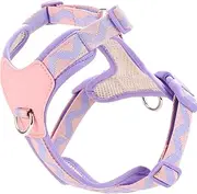 Purple Medium Dog Harness, No Pull Dog Harness with 2 Leash Clips, Easy Walk Harness Medium Sized Dog, Puppy Vest Harness for Medium Dogs (Purple, M)