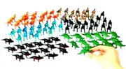 Dinosaur Assortment Set of 40 Maths Teaching Resources Learning Kids Toy