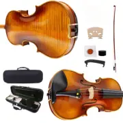 4/4 Fiddle Maple Spruce Ebony Wood Full Size Violins Beginer Violin Set with Bow