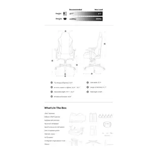 DXRacer 電競賽車椅 CRAFT  熊貓黑白配色 D5000-BKW