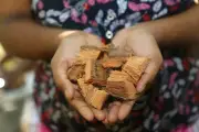 NATURAL COCONUT HUSK CHIPS,SMALL CHIPS FOR FLOWER PLANTS ORCHID ,ANTHURIUM & ANY