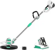 LiTHELi 40V Cordless Whipper Snipper String Grass Timmer Kit, Multicolor