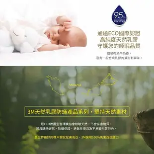 【3M】兒童防螨乳膠枕防螨枕-3-6歲幼兒適用3M官方店
