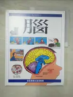 【書寶二手書T8／少年童書_DX2】腦 UNDERSTANDING YOUR BRAIN_REBECCA TREAYS