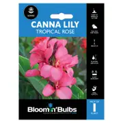 Bloomin' Bulbs Canna Lily Tropical Rose - Canna hybrid cultivars