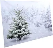 OSALADI Photography Background Cloth Christmas Decoration Winter Decor Photographic Background Cloth Photo Background Christmas Backdrop Backdrop Prop Party Decorations