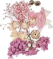 Dried Pressed Flowers,Natural Tiny Dried Flowers for Resin Colorful | Resin Accessories Flowers Leaves Petals Glass Artworks, Epoxy Resin Ornaments 10 Colors