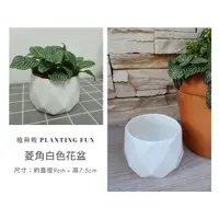 在飛比找蝦皮購物優惠-植與栽 Planting Fun 菱角白色花盆 陶瓷花盆花器