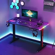 Advwin Electric Standing Desk, Gaming Desk RGB LED, Carbon Fiber Desktop Ergonomic Sit Stand Desk with Height Adjustable and Smart Memory Preset, Computer Workstations for Home & Office, Black, 120cm