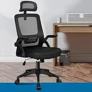 Ergonomic Mesh Office Chair with Lumbar Support, Headrest and Flip-up Armrests, Black