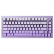 [Akko] MonsGeek M1W HE-SP RGB Keyboard Yellow Magnetic Switch Purple