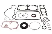 Complete Gasket Kit with Oil Seals for Polaris 800 Switchback Assault 2017