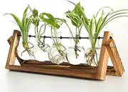 Zjkai Plant Propagation Station with 5 Bulb Vases Retro Wooden Stand Desktop Glass Planter Terrarium for Hydroponics Plants Home Office Décor