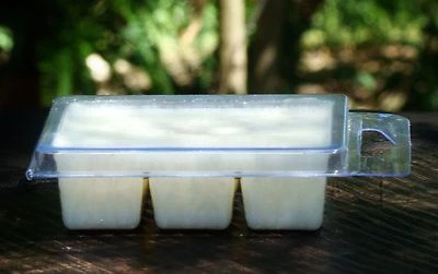 6pk 100hr CEDAR, CLEMENTINE & GINGER Scented Soy Wax CLAM MELTS for OIL BURNERS