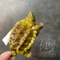 在飛比找蝦皮購物優惠-現貨 日本 Miniatureplanet 動物系列 大鱷龜