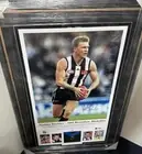 Collingwood FC -Nathan Buckley signed Limited Edition Brownlow Medal AFLPA Frame
