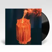 Playing Favorites (Vinyl) (Import)