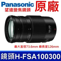 在飛比找Yahoo奇摩購物中心優惠-國際牌 Panasonic 原廠 H-FSA100300 微