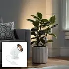 Cord-n-Plug White Accent Uplight with Foot Switch