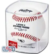 2019 Florida Spring Training Official MLB Rawlings Game Baseball - Cubed