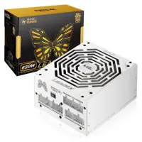 在飛比找蝦皮商城優惠-LEADEX 振華 650W 80+ 金牌 全模組化 電源供