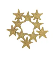 Small Starfish Trivet