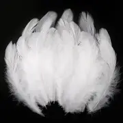 600Pcs White Feathers for Crafts 3-5Inch Craft Feathers Bulk for Wedding Home Pa