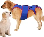Dog Back Brace arthrits - Pet Back Brace | Dog Support Brace Sling | Dog Back Brace | Pet Support Harness Dog Back Brace For Dogs | D-ring And Reflective Strips Back Protector Support For Dogs Back