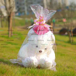 （京野生活館）彩色娃娃袋 透明包裝袋水果籃袋 大娃娃袋塑料袋糖果袋送拉花