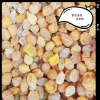 在飛比找蝦皮購物優惠-野生小金桔 600g