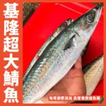 【鮮煮義美食街】基隆港超大鯖魚 產地:台灣