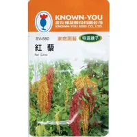 在飛比找蝦皮購物優惠-種子王國 紅藜Red Quinoa(sv-580) 【花卉種