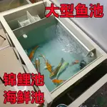 免運 魚箱 海鮮養殖箱 帶過濾 鯉魚缸 PP塑料大型錦鯉魚池帶靜音過濾魚池水箱金魚缸酒店海鮮池支持訂做