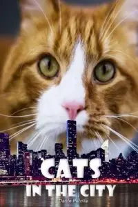 在飛比找博客來優惠-Cats in the City