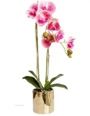 [Vicky Yao] Real Touch 2 Stem Artificial pink Orchid