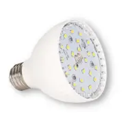 Blue Square Vivid 360™ White LED Spa Bulb 20W