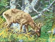 Needlepoint tapestry painted canvas - Deer (16"x24") Gobelin 14.877