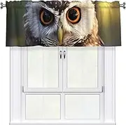 LHBWCVN Cute Owl Valances for Windows, Rod Pocket Window Treatment Drapes Farmhouse Kitchen Curtains Short Blackout Window Curtains for Living Room Bedroom Decor 54x18 Inch