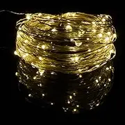 Karsum USB Powered String Lights,LED Silver Wire Micro Fairy Lights,5M/16.4Ft 50 Twinkle Lights for Indoor Bedroom Garden Party Wedding Christmas Party Decoration (Warm White, 10M/32Ft.)