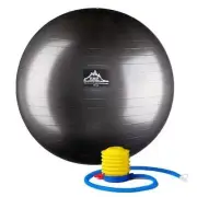 65 cm. Professional Grade Exercise Stability Ball Black